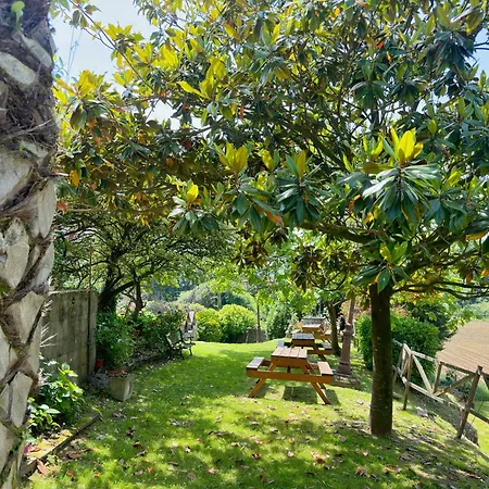 Tia Toni - 1002 * Isla Plana