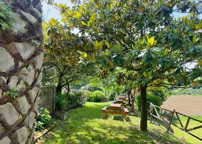 Tia Toni - 1002 * Isla Plana